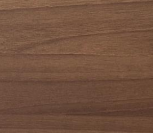 ELM