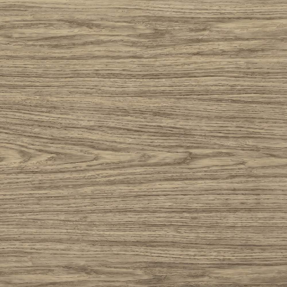 Cream Acacia